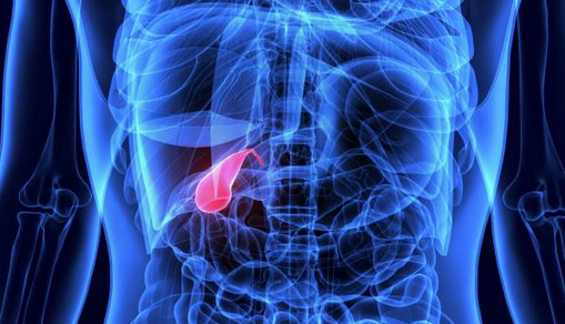 Gall Bladder